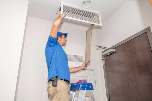 Best Air Duct Cleaning Near Me  in Ionia, MI